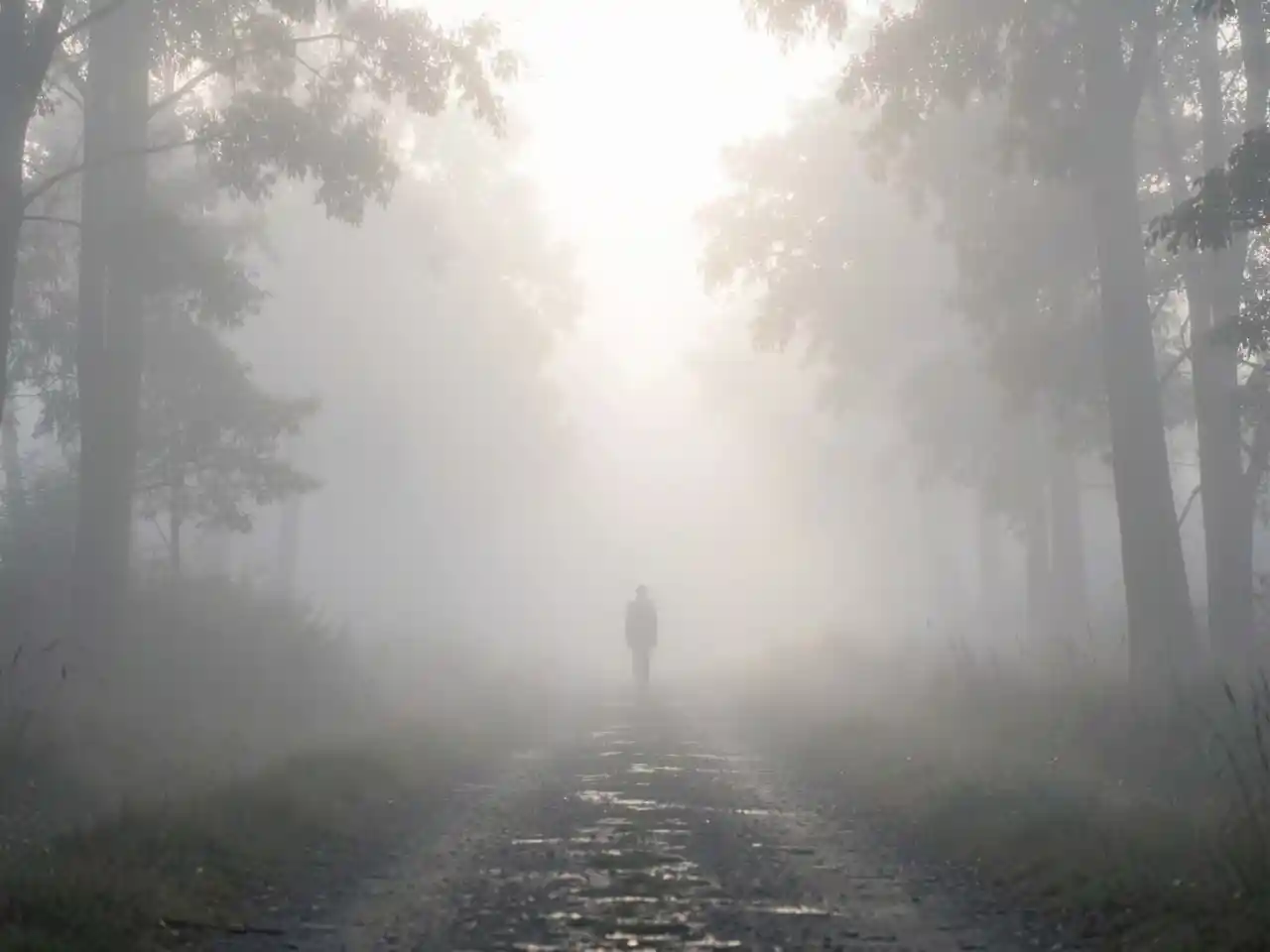 A solitary figure walking a path that disappears into soft, luminous morning fog in a forest, symbolizing trust in the unseen and the wisdom found in life's uncertain, in-between moments