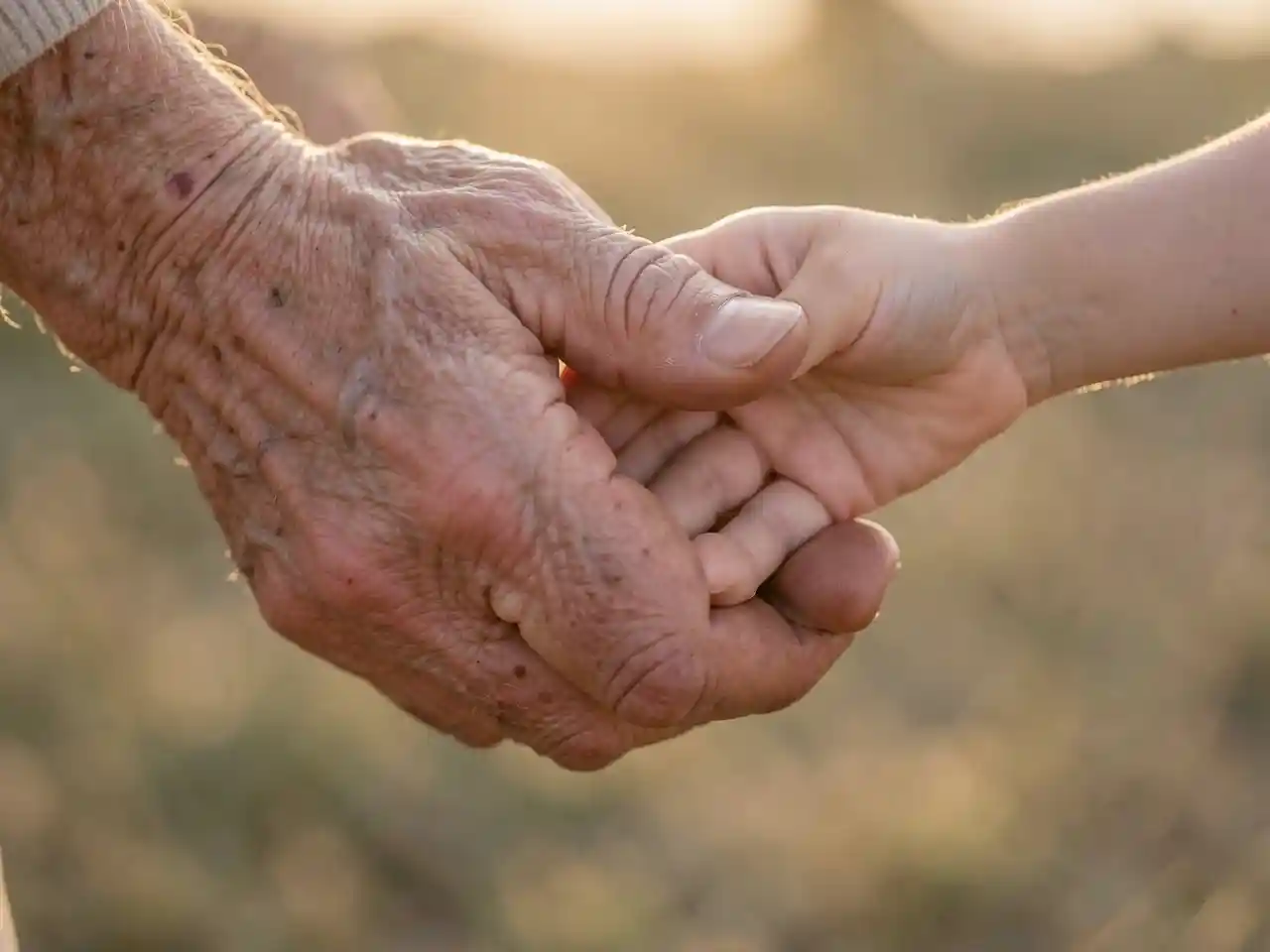 Close-up of an elder's weathered hand gently holding a child's small hand, bathed in warm sunlight, symbolizing the enduring human longing for kindness and connection