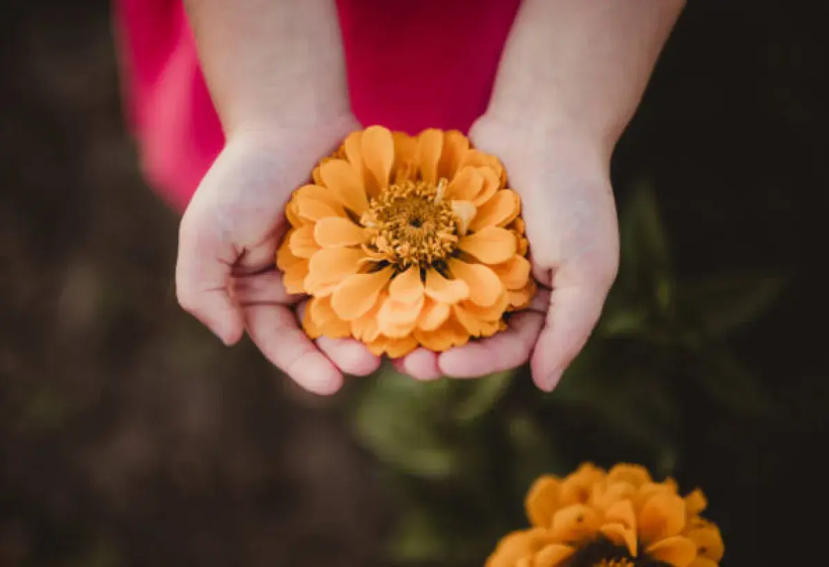 Hands offering a small gesture of kindness