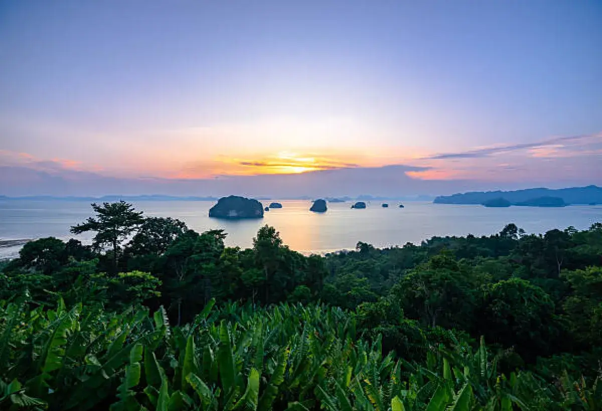 Reflection on the Poem