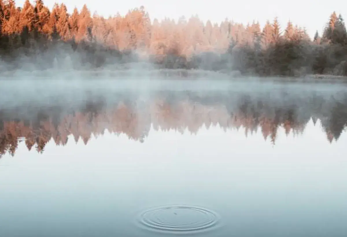 Mist rising over a calm lake at sunrise, reflecting tranquility