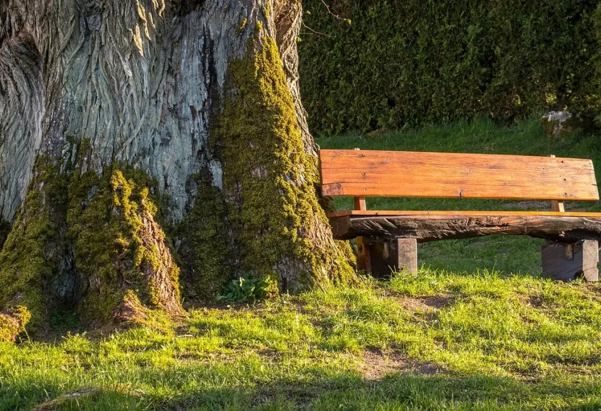 Meaning is something we practice