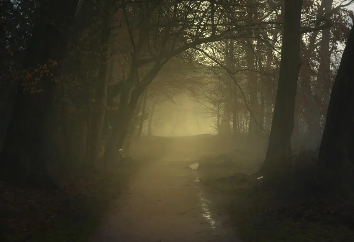 Continuing without conclusion