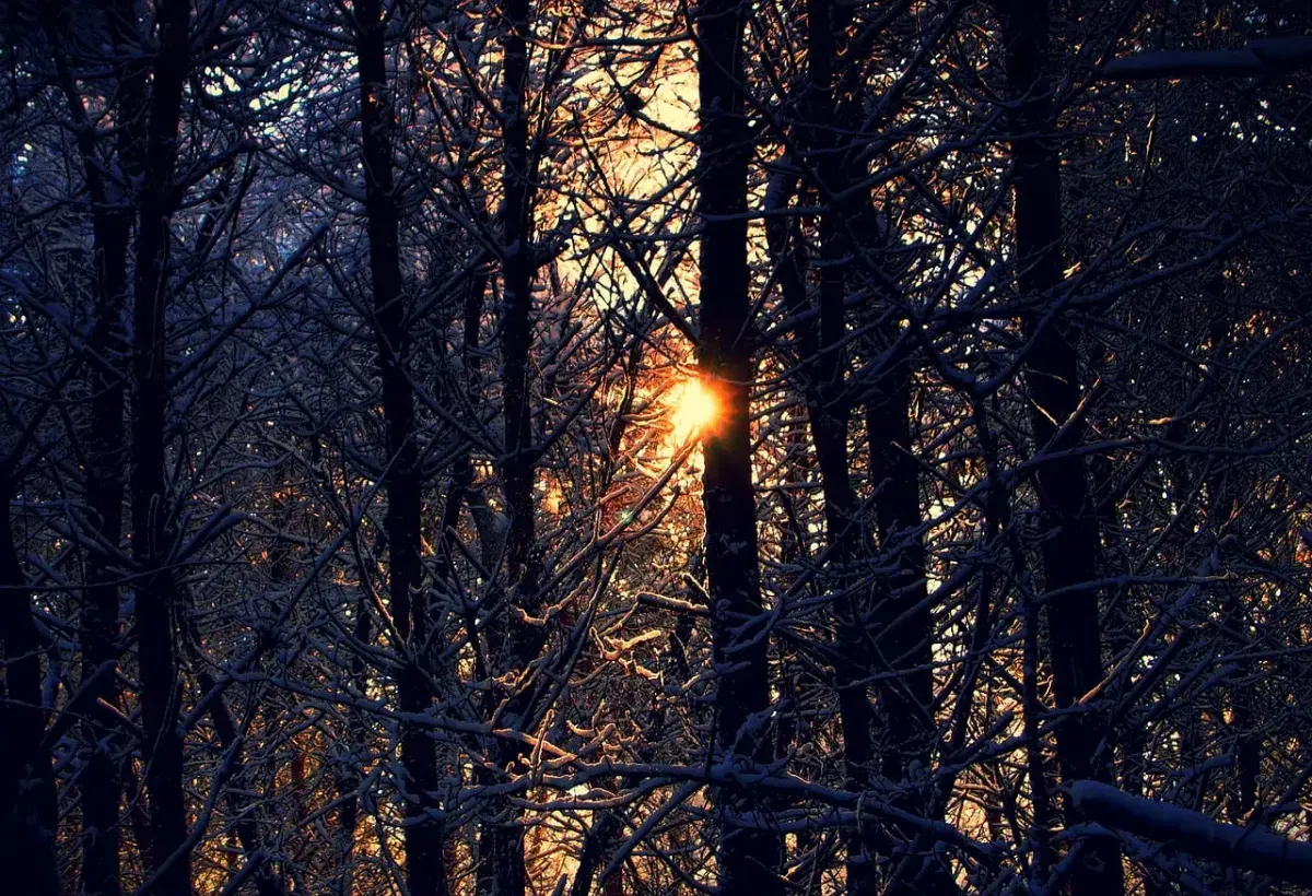 creeping sunrise light 