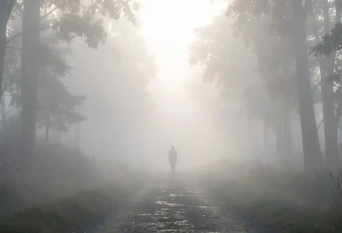 A solitary figure walking a path that disappears into soft, luminous morning fog in a forest, symbolizing trust in the unseen and the wisdom found in life's uncertain, in-between moments
