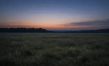 An empty field at dusk with soft light fading over untouched grass symbolizing silence after historical loss