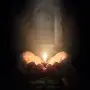 Cupped human hands gently holding a single, tiny glowing flame, whose light softly expands to illuminate a faint path in the surrounding darkness, symbolizing the quiet power of a willing heart and the divine multiplication of even the smallest faith